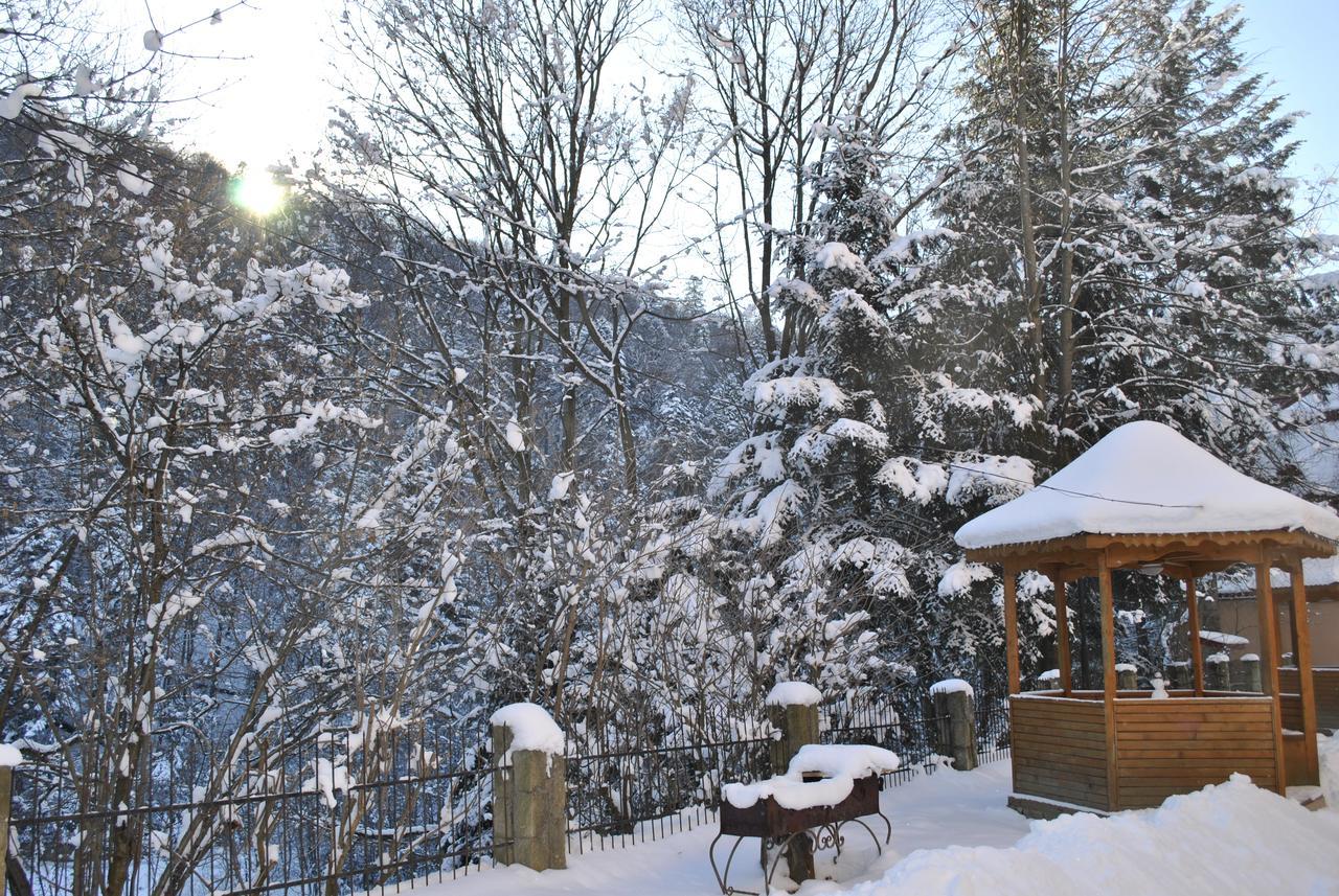 Hotel Radiola Yaremche Bagian luar foto